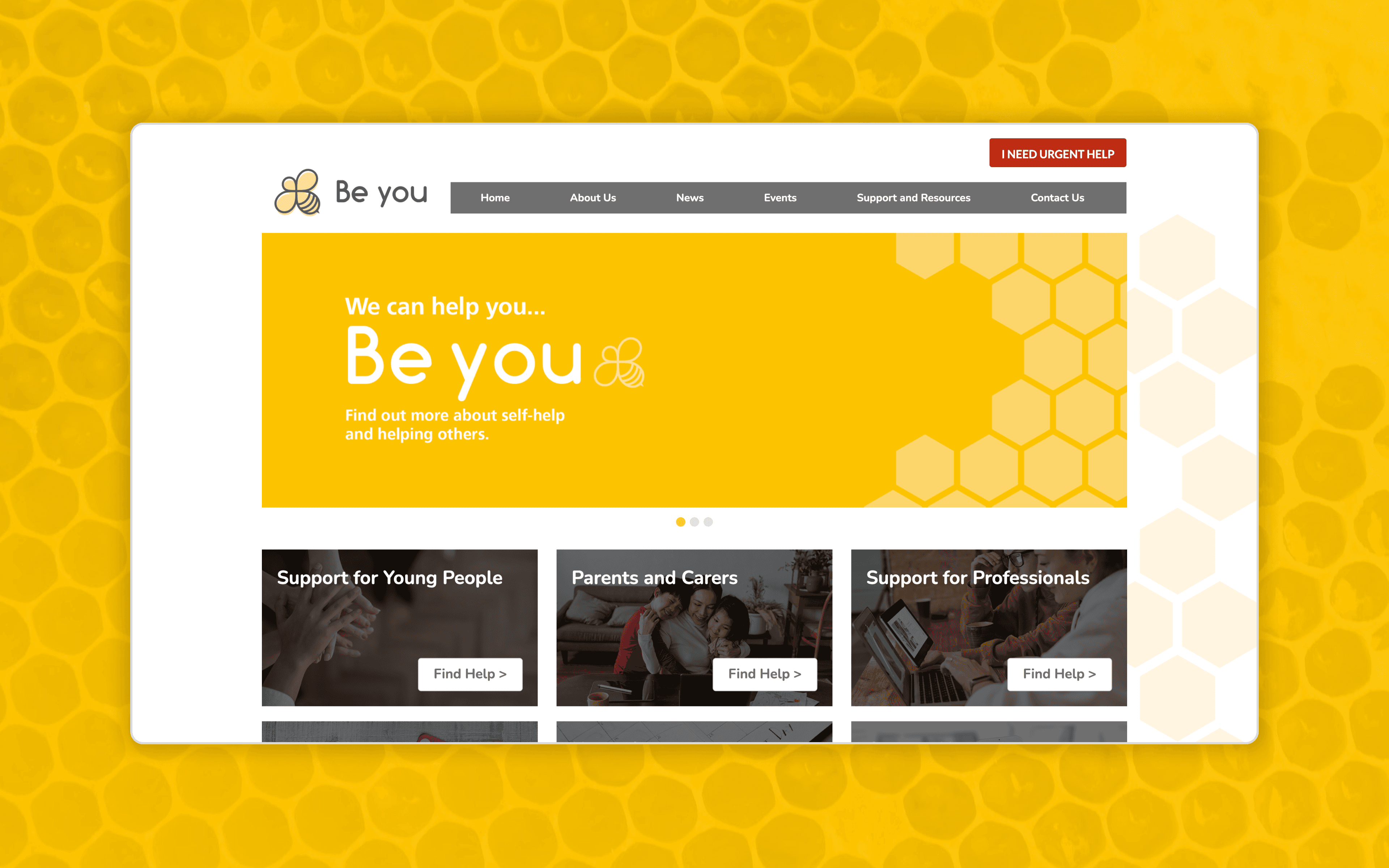 NHS Trailblazers Banner