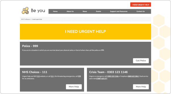 NHS Trailblazers Desktop 6