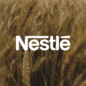 Nestle Background on Wheat